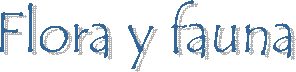 Flora y fauna
