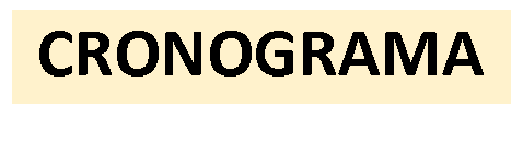 Cuadro de texto: CRONOGRAMA